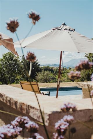 Den ultimative guide til parasoller